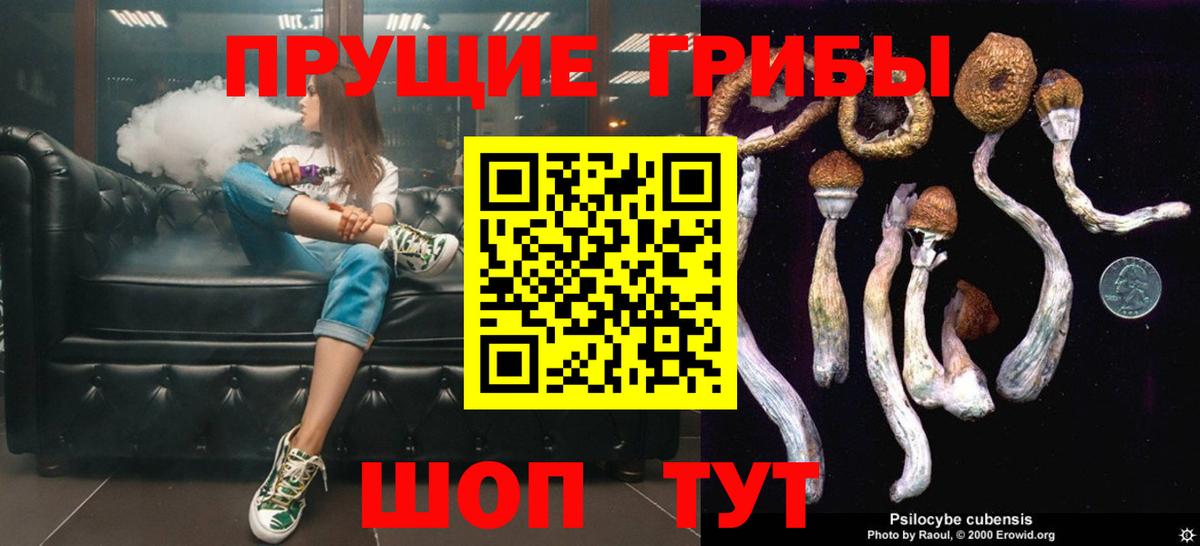 Псилоцибиновые грибы GOLDEN TEACHER  Псилоцибиновые грибы GOLDEN TEACHER  наркотики  Луховицы  Вход с VPN 