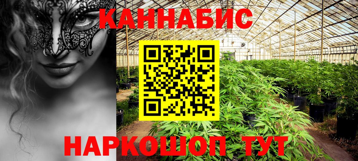 Конопля Ganja Луховицы